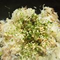 56猫's cooksnap of when they made 鯖のねぎ塩炒飯.
