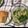 ナピト's cooksnap of when they made タイ料理♡春雨サラダ.