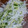 Shosui3's cooksnap of when they made さっと食べれるサラダ用野菜の保存方法.