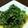 のぼし～'s cooksnap of when they made かぶの葉ふりかけ.