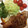 クックQOQS2T☆'s cooksnap of when they made 簡単時短生姜焼き.