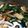 Jyohana's cooksnap of when they made 小松菜とえのきの煮浸し.