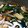 Jyohana's cooksnap of when they made 小松菜とえのきの煮浸し.