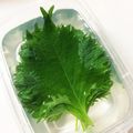 カヘルさん's cooksnap of when they made 大葉の保存方法.