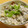 もんしゅしゅ's cooksnap of when they made 舞茸と小葱の簡単白和え.