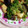 あざらしの赤ちゃん's cooksnap of when they made 簡単♪ブロッコリーと厚揚げの中華旨煮♪.