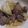 クックFYE7SX☆'s cooksnap of when they made 鶏レバーと砂肝の煮物.