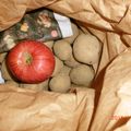 ニノにの's cooksnap of when they made 農家では当たり前？じゃがいの長期保存方法.