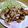単！！'s cooksnap of when they made 鮭ムニエル♪焦がしアーモンドバターソース.