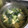 fukuphone's cooksnap of when they made ほうれん草とえのきのスープ.