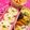 くまゆみ's cooksnap of when they made ☆キャラ弁☆簡単 遠足弁当in水族館.
