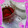 アピナス's cooksnap of when they made プーさんも飲んでほしい!?はちみつTea.