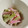 野菜のはたけ's cooksnap of when they made レンジで下ゆで☆大根と人参のマヨ和え.