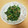 ピーナッツ子♪'s cooksnap of when they made 定番！ホウレン草のたっぷり胡麻和え.
