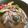 mildsevene's cooksnap of when they made きのこの煮込みハンバーグ.