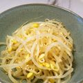 大魔女's cooksnap of when they made お店の味！豆もやしナムル.