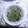 tarbu's cooksnap of when they made 大根の葉とジャコの炒め物.