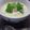 亜久里's cooksnap of when they made 簡単♪あったか。とり粥.