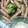 はるかっち１号's cooksnap of when they made ひと手間加えたマスタードが決め手のポトフ.