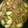 kumachan2007's cooksnap of when they made ♬とろ～りかぶと豚肉オイスターソース煮♬.