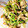 ねじまきどり０１０３'s cooksnap of when they made ☆超簡単☆きのこと豆苗のマヨポン和え.