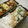 スタイリッシュママ's cooksnap of when they made 神奈川旨いもん～湘南釜揚げしらす丼弁当～.