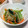 へろりーな's cooksnap of when they made もやしと小松菜のごま酢あえ.