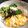 マイポ☆'s cooksnap of when they made だいすき☆ごま豆乳鍋.