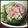 ayaly＊'s cooksnap of when they made 簡単だけど本格派♪台湾風フォー.