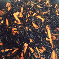 クックHWUFUY☆'s cooksnap of when they made 基本の和食:ひじきの煮物.