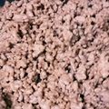 ルンルンバ's cooksnap of when they made 豚そぼろ.