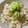ma?'s cooksnap of when they made 鶏ごぼうの炊き込みご飯.