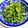 たぬぴぃ★'s cooksnap of when they made 野沢菜とじゃこで炒め物.