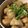 クック00UWS2☆'s cooksnap of when they made 優しい味～里芋と豚肉の煮物.