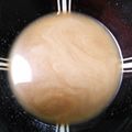 ゆうこりんのママ's cooksnap of when they made レンジで簡単、蒸し野菜 ゴマソース.