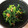 noriko912's cooksnap of when they made 納豆やさん頑張って！ほうれん草と納豆.