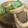 サボイ's cooksnap of when they made ＊いか大根のわた煮＊ ♪簡単♪.