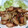 Hot spring's cooksnap of when they made エビとブナピーの簡単炒め.