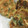 よこちよちこ's cooksnap of when they made はんぺんと豆腐のふわふわ焼き.