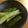 なっちゃん散歩's cooksnap of when they made お店のウマウマやみつき、ピリ辛きゅうり。.