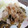 クックTW1J61☆'s cooksnap of when they made 簡単！なすのしょうが焼き.