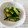たぬぴぃ★'s cooksnap of when they made 野沢菜　切り漬け.