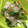 リラシャン's cooksnap of when they made 大根の皮で漬物♪.