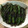月読☆'s cooksnap of when they made いんげんの胡麻和え.