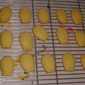 マサコッコ's cooksnap of when they made * はちみつレモンのマドレーヌ *.