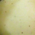 座敷童子のアレックス's cooksnap of when they made ＊かぶスープ＊.
