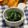 ぽっぽぺぺ's cooksnap of when they made ほうれん草と春菊の胡麻和え.