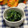 ぽっぽぺぺ's cooksnap of when they made ほうれん草と春菊の胡麻和え.