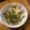 ☆akettu☆'s cooksnap of when they made 牛丼、たまねぎ多目。.