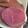 saaaya2917's cooksnap of when they made 甘糀で作る本格べったら漬け.